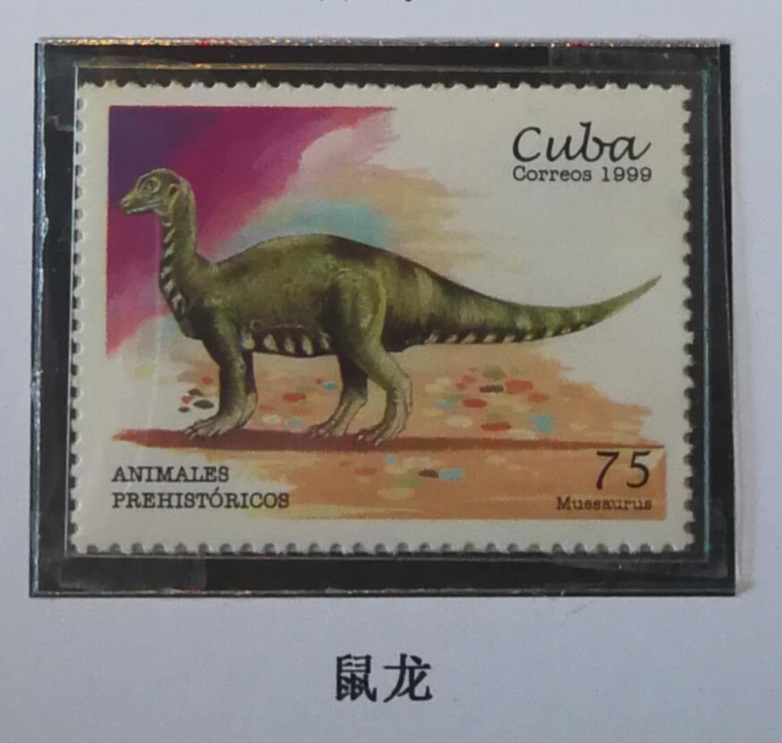 恐龙时代恐龙的最强霸主,恐龙称霸时间有多久