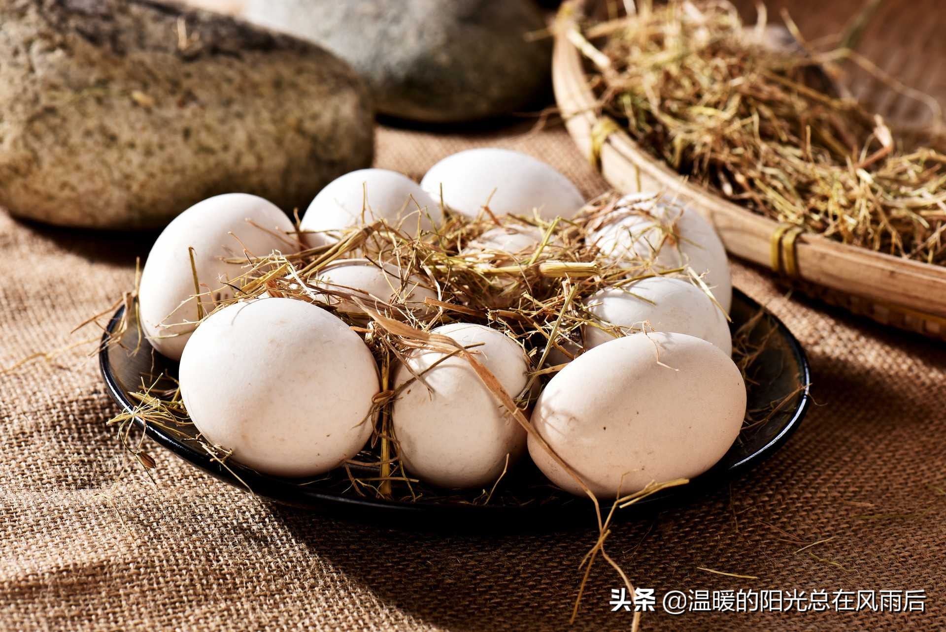 熟鸡蛋鸭蛋鹌鹑蛋哪些地方不一样,鸡蛋鸭蛋鹅蛋鹌鹑蛋哪个最有营养