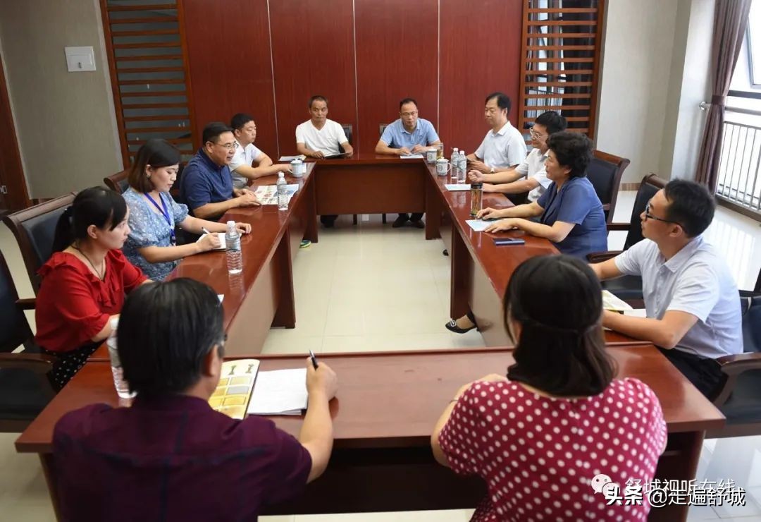 央视报道舒城中学,安徽六安舒城县学校