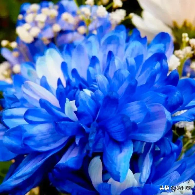 朗读者的心声,随笔朗诵素材