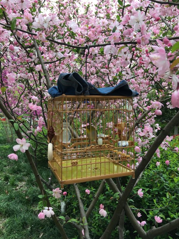 文爱绣眼武爱眉儒雅之处论收藏