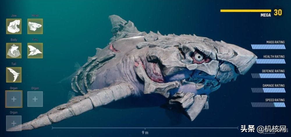 食人鲨从哪里买的,食人鲨值得买吗