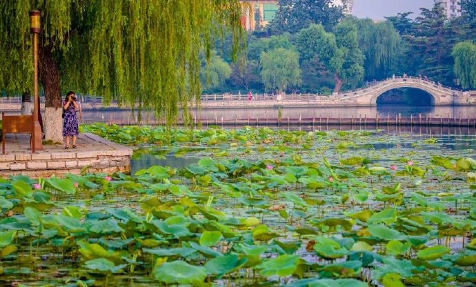 向往田园生活和体验往往有差距,向往田园生活却又逃避田园生活