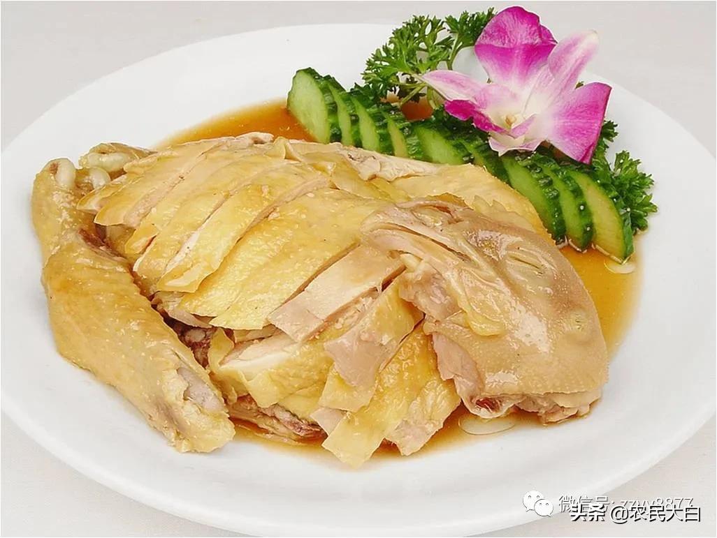 不准吃野生动物,禁止吃野味