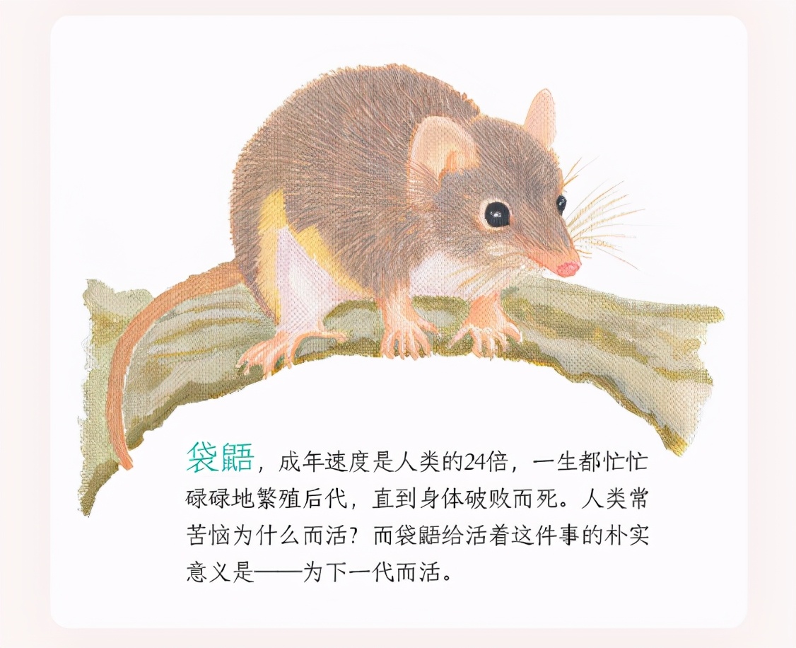 日本关于生死的书,日本动物的生死书