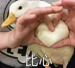 打死我也不承认，用过这么羞耻沙雕的QQ签名