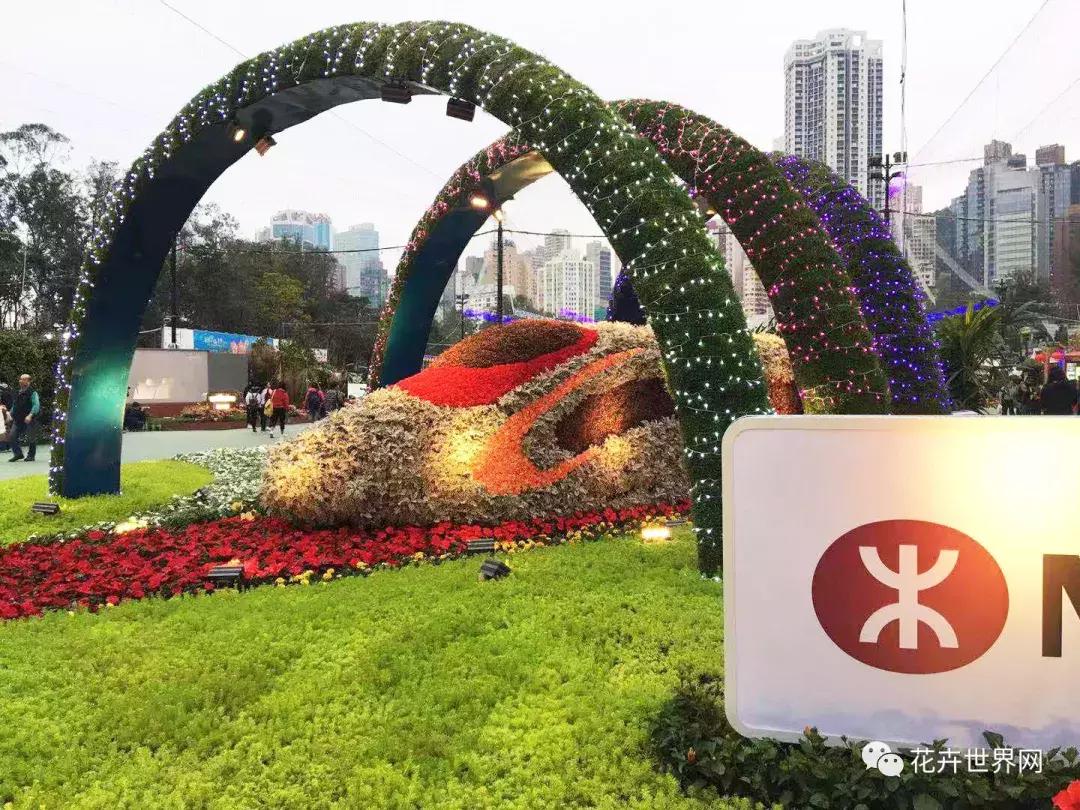 香港花卉艺术展,共赴盛会活动