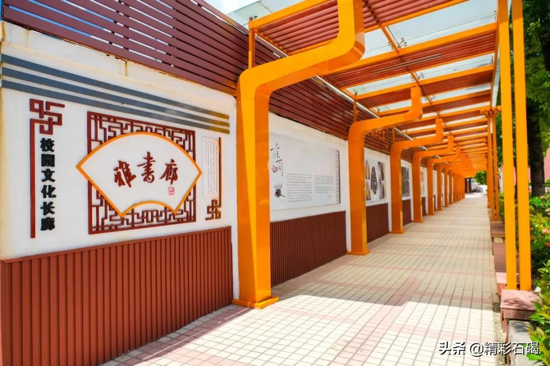 石碣四海学校排名,石碣四海小学招生简章