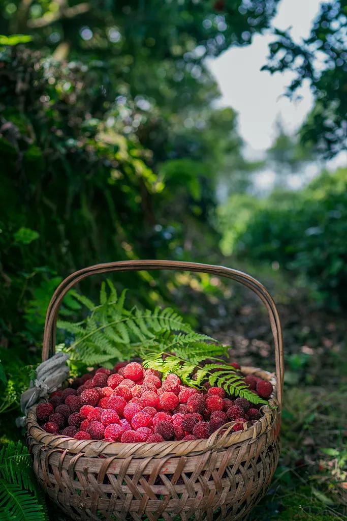 中文能有多浪漫,中文真的很浪漫