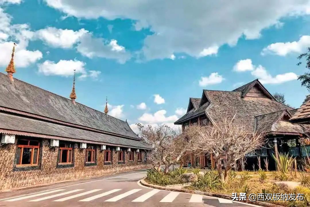 勐海旅游攻略自由行路线图,中国旅游日云南西双版纳