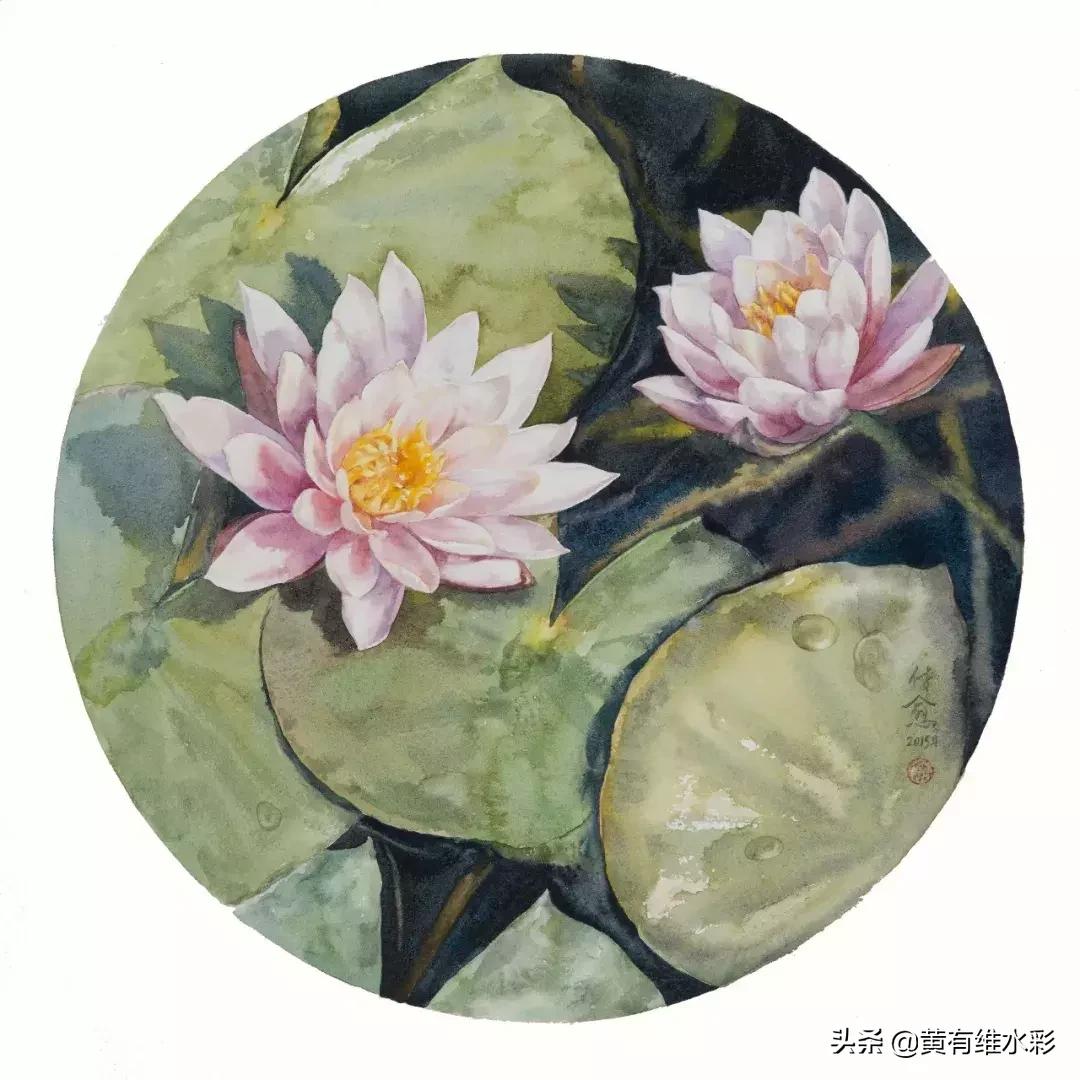 小清新水彩画玫瑰花,水彩画雨中玫瑰