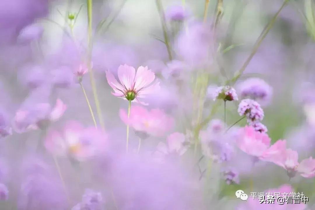 晋中婚宴,晋中旅行图文日记