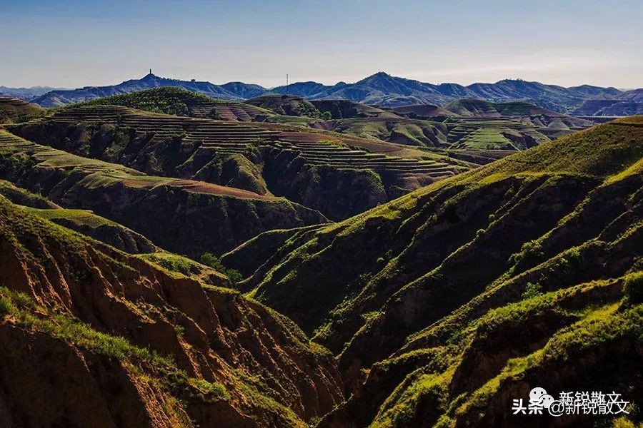 唱着歌儿走陕北:只有这块土地才能诞生这样汉子味的歌曲