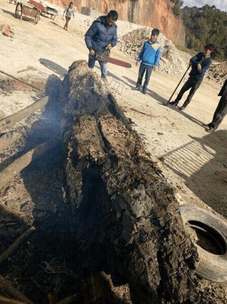 老宅挖出6米金丝楠乌木,四川老农盖房挖出金丝楠