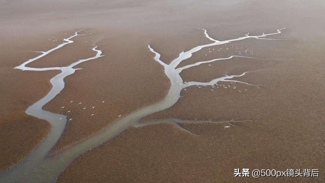 摄影风格纯粹主义,从生活中汲取摄影的灵感