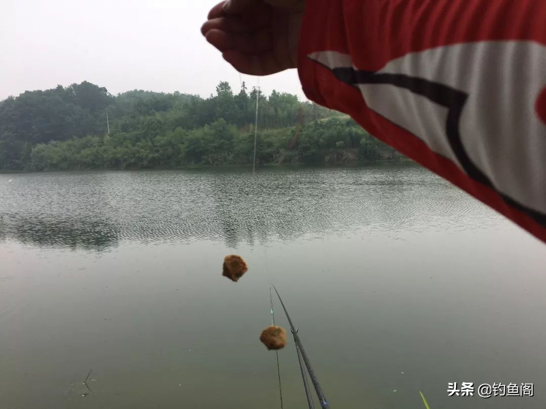 选择浮漂吃铅少是否灵敏,选择浮漂的诀窍