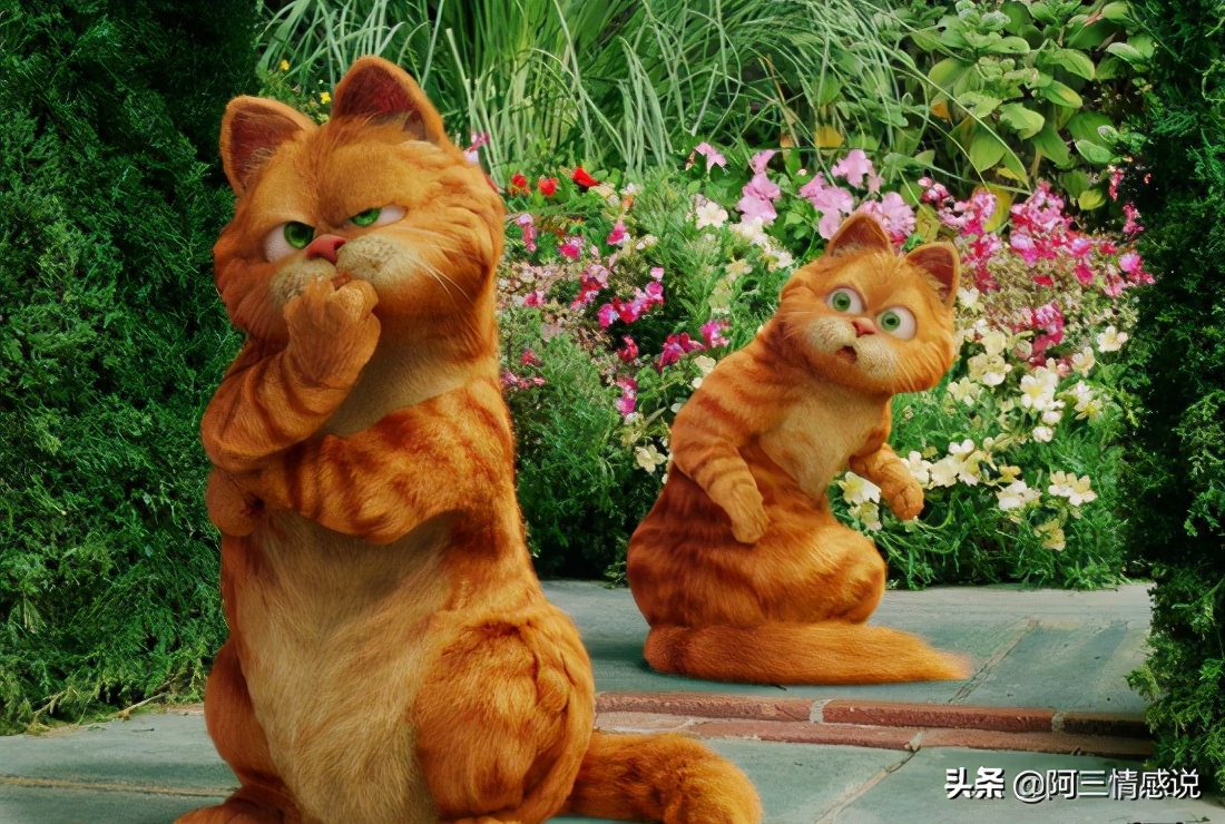 女朋友一点都不粘人什么情况,女朋友一点都不粘我怎么回事