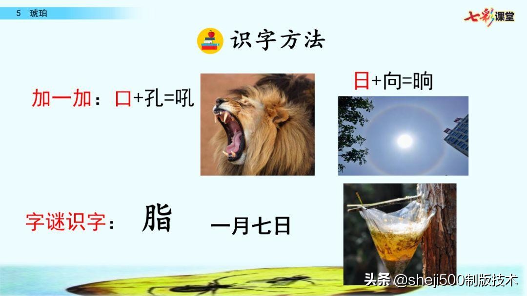 四年级语文下册第5课琥珀知识点,语文书四年级下册琥珀预习分段