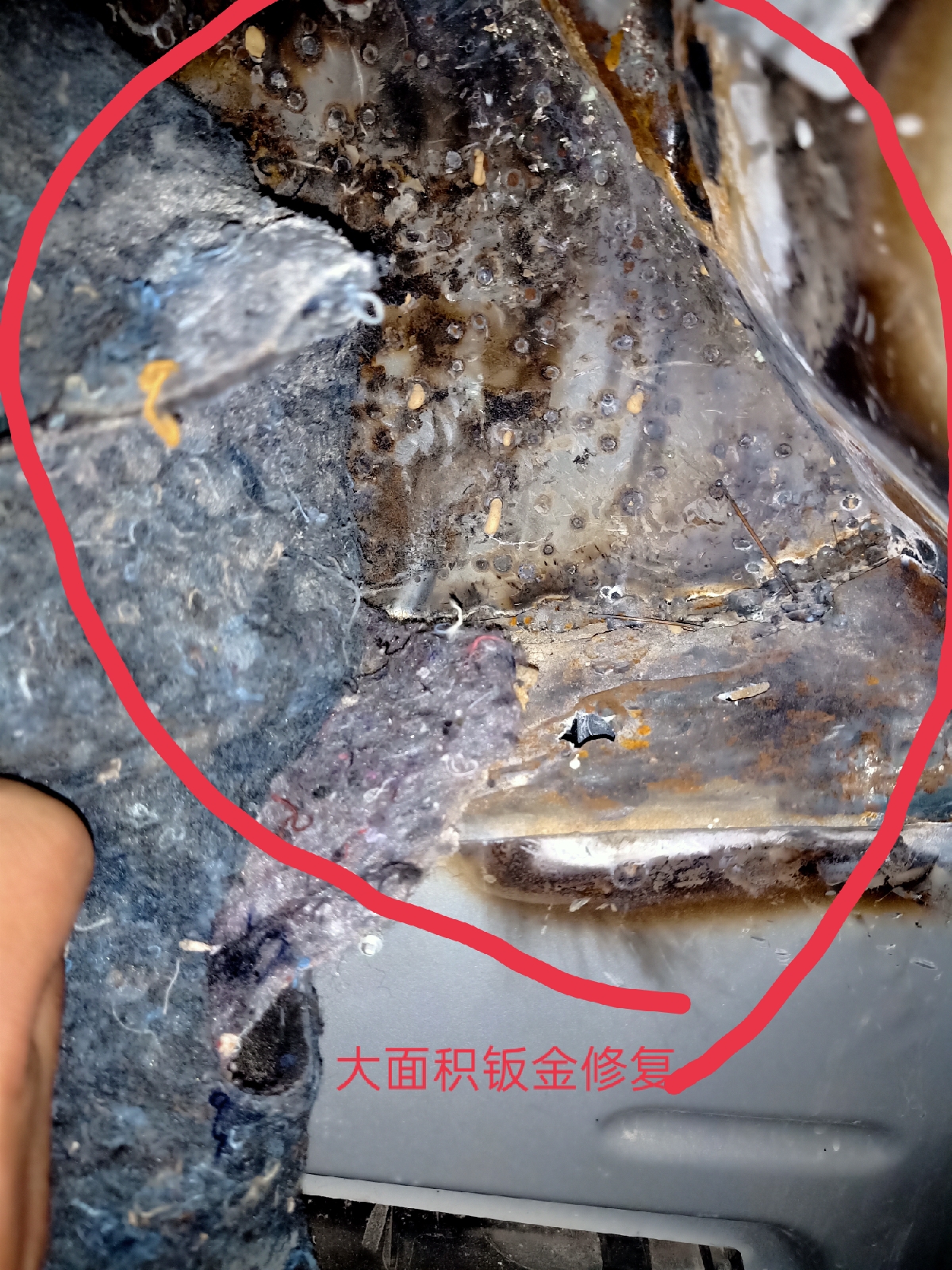 客户15万捡漏15款宝马3系，没料到是个“敞篷”