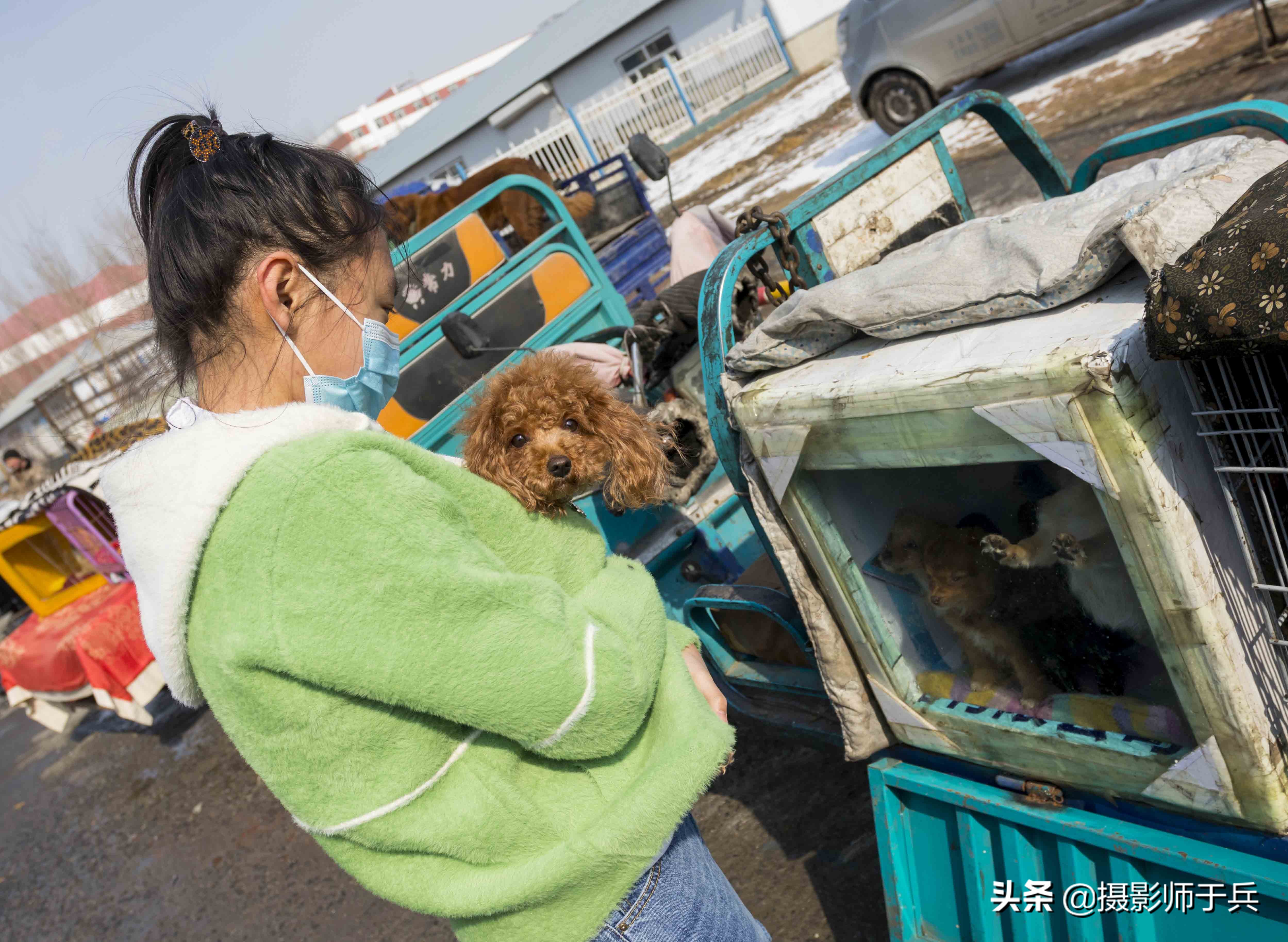 绥化安达狗市,黑龙江省绥化故事之一