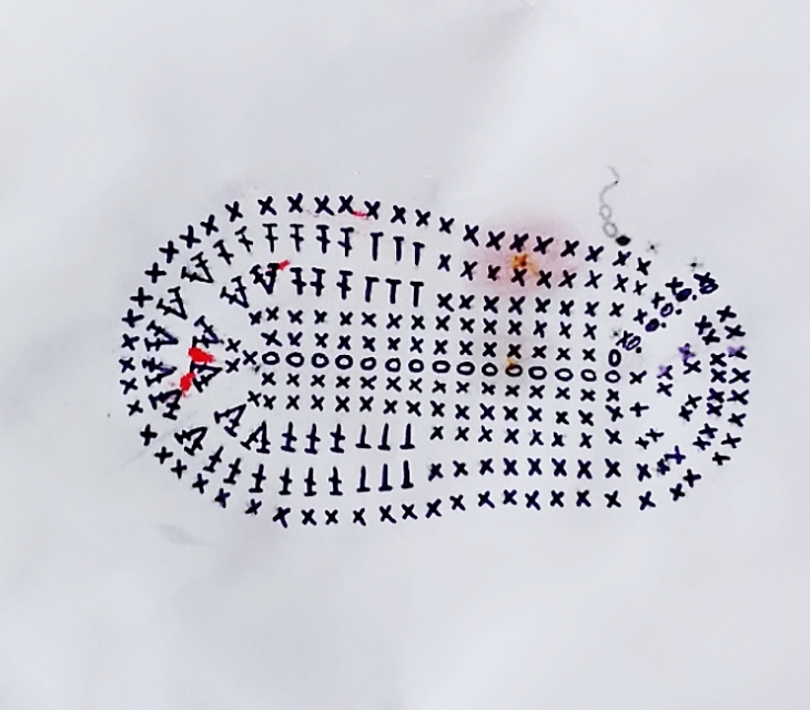 毛线钩编宝宝鞋视频全程教程,巧手女工编织婴儿毛线鞋视频教程