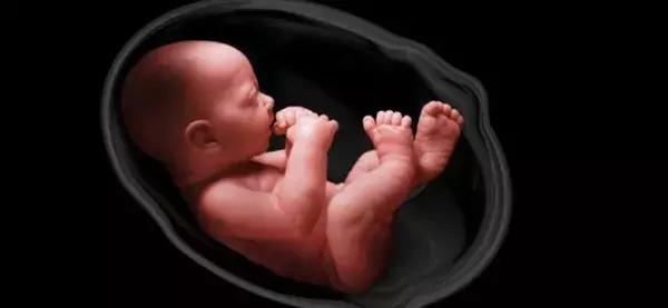 疑惑？怀孕了却没有反应...这正常吗？