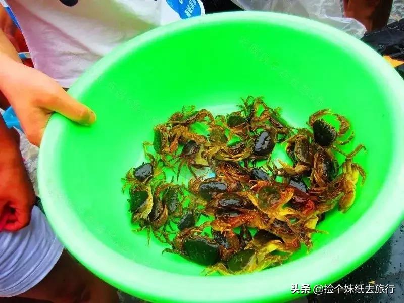 漂流捉鱼大赛,青龙溪亲子漂流