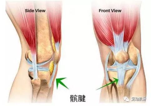 “斗牛”约不约？看完这篇助你轻松扣篮不受伤