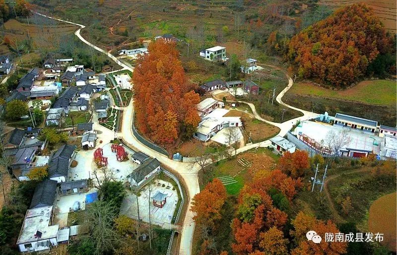 我叫成县，这是我2019年的自拍照~