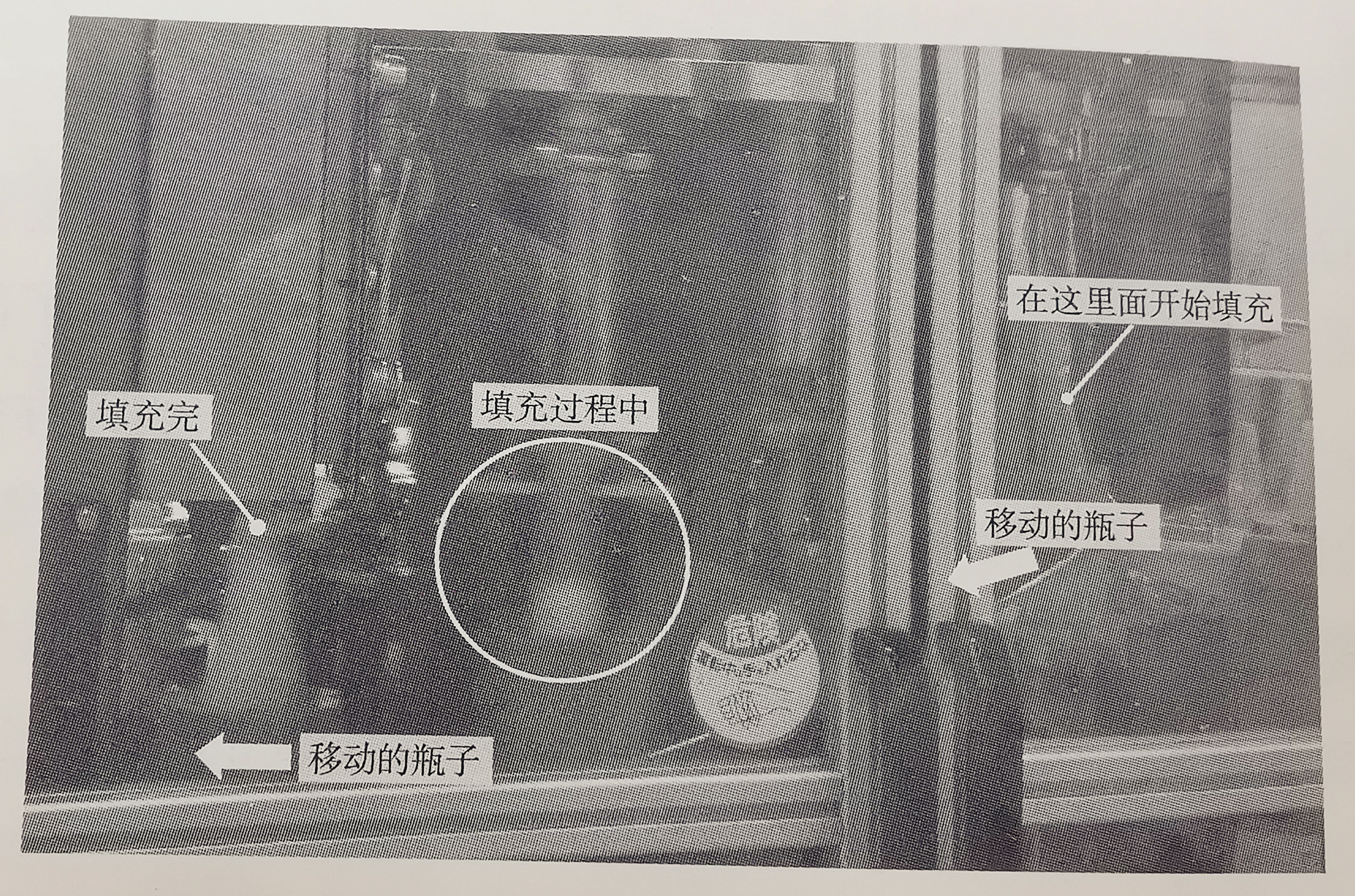 日本沙拉公司,日本最好沙拉酱品牌