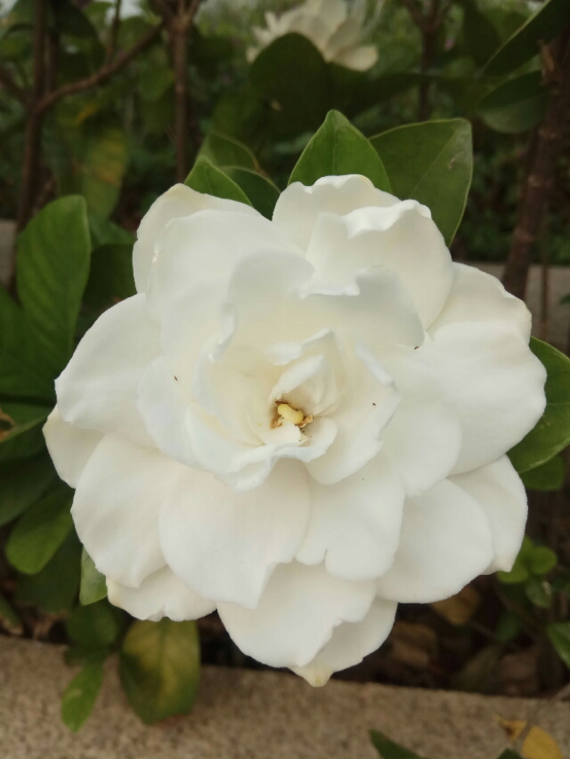 微店商城版和微店区别,淘宝微店在哪