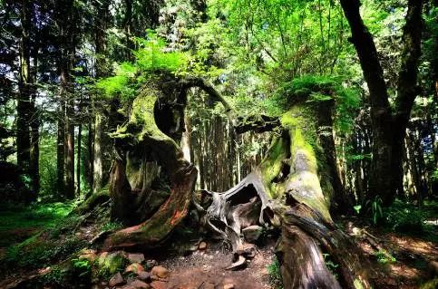 台湾自由行证件去哪里办理,台湾自由行需要收入证明吗