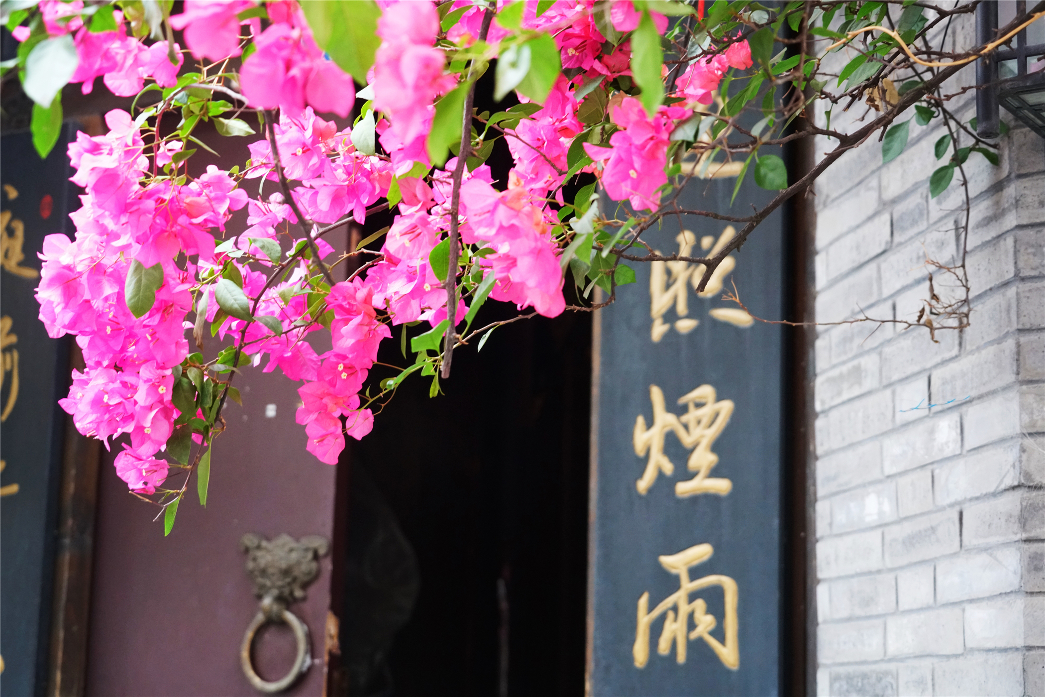 宽窄巷子寻觅成都最美街巷,成都宽窄巷子边