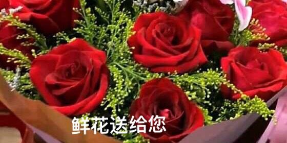 庆祝八一建军95周年,我们永远是祖国的兵舞蹈