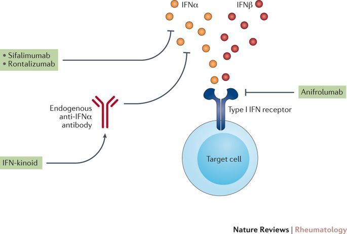协和治乙肝新药,协和医院治疗帕金森
