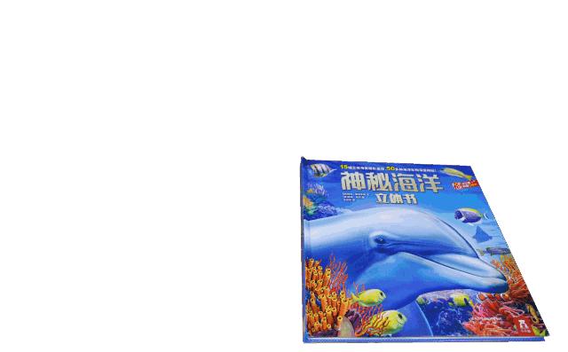 立体纸艺教程动物,纸艺技巧