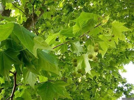 贝尔荒野求生取水教程,荒野求生必备小技巧