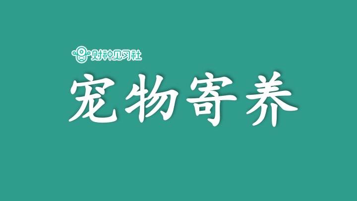副业做宠物,宠物行业可兼职的工作