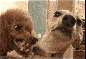 辟谣:看阴道炎,医生却给开激素?医生:别误会,你真的需要这个