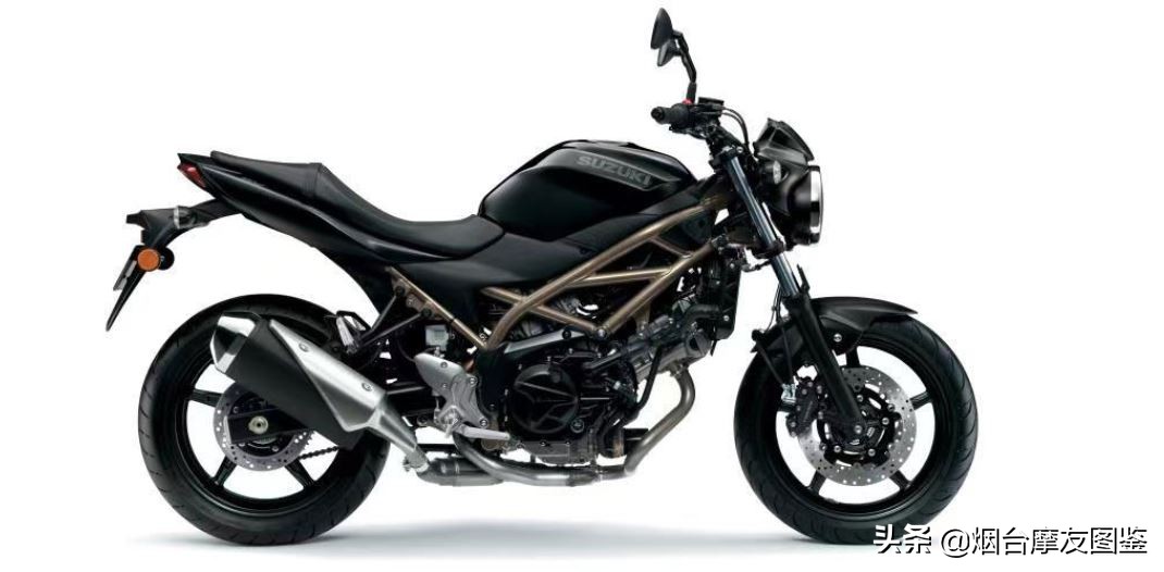 好久不见,铃木摩托国内发布V型双缸运动街车SV650/X