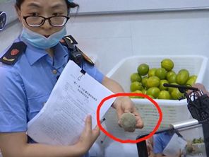 瀹濋緳鍟嗗姟鍒嗘媶涓婂競,瀹濋緳鍒嗘媶鍟嗕笟涓婂競鏆撮湶杩愯惀鐭澘