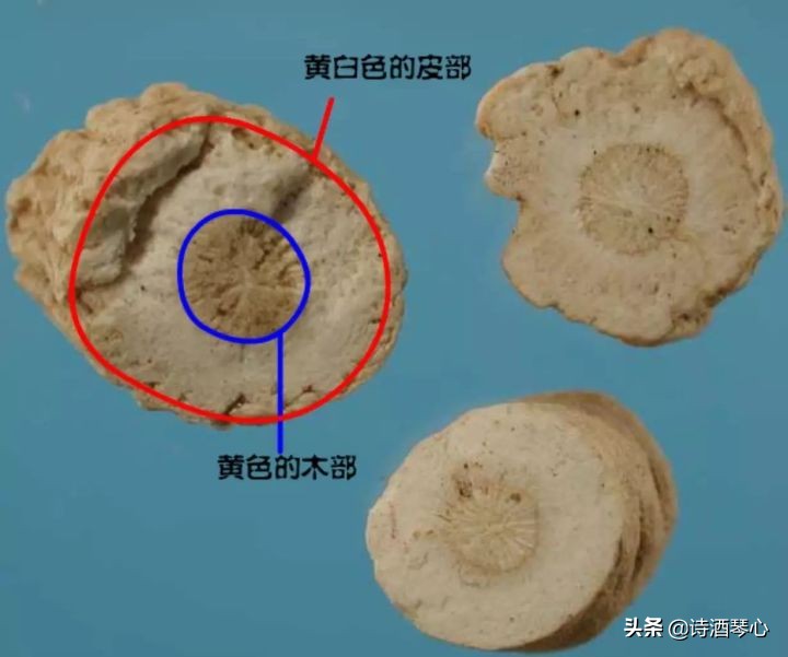 板蓝根有抗病毒作用吗,板蓝根和抗病毒口服液