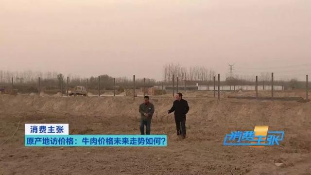 牛肉批发价最新价格,牛肉价格补贴最新消息