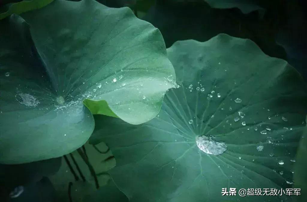 佛说做人请不要炫耀,佛说为什么不能炫耀