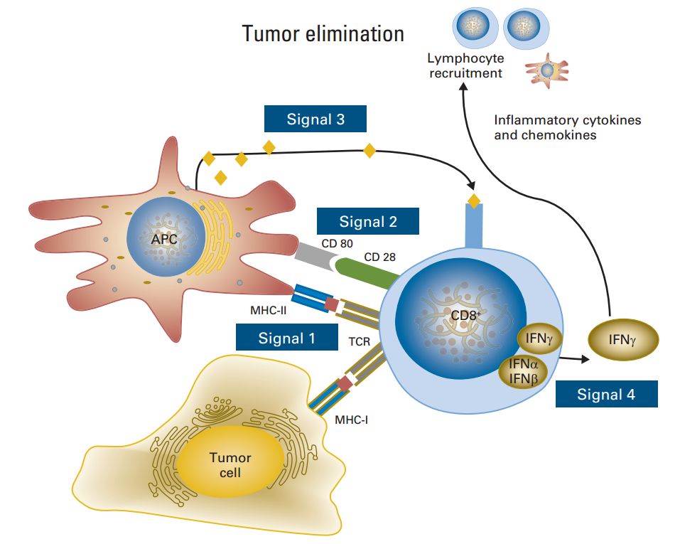 免疫治疗能彻底治愈肿瘤吗,中国治疗肿瘤最新突破