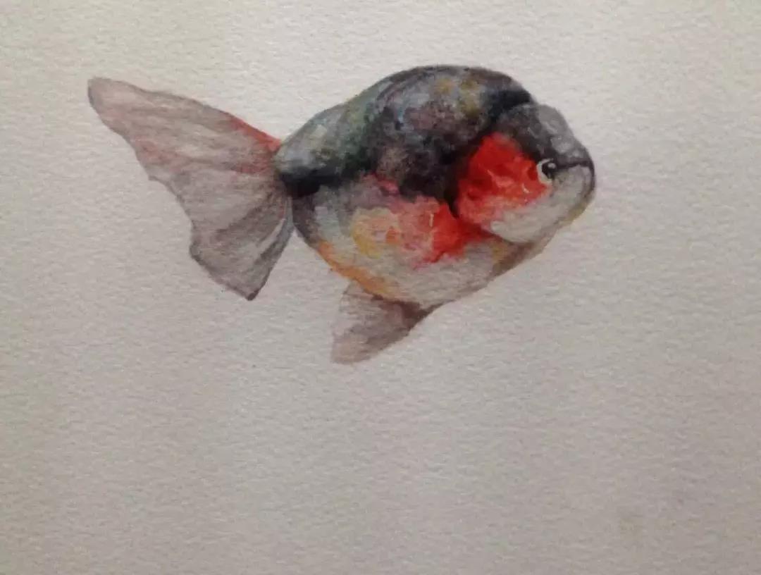 重庆超牛学霸:排名第一考入名校,大二就获10万融资,还创办珠宝公司!