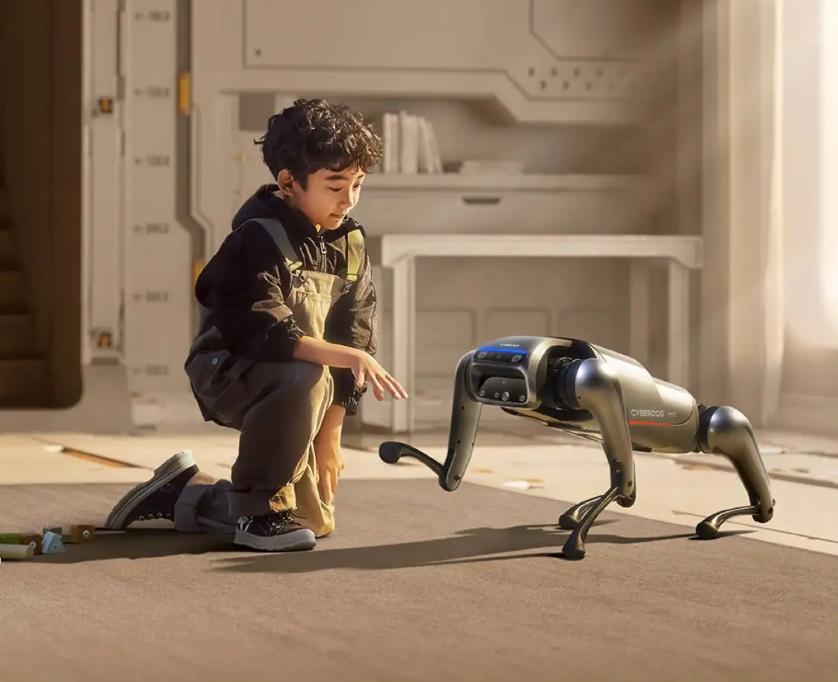 雷军铁蛋测试,雷军演示铁蛋机器