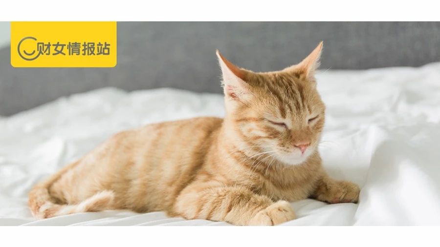 中业兴融是正规平台吗,中业兴融口碑怎么样