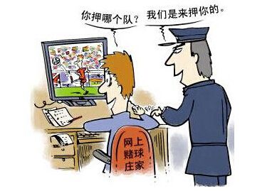 赌球的危害真实案例,赌球危害视频