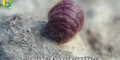 十大致癌口红排名,十大致癌的口红